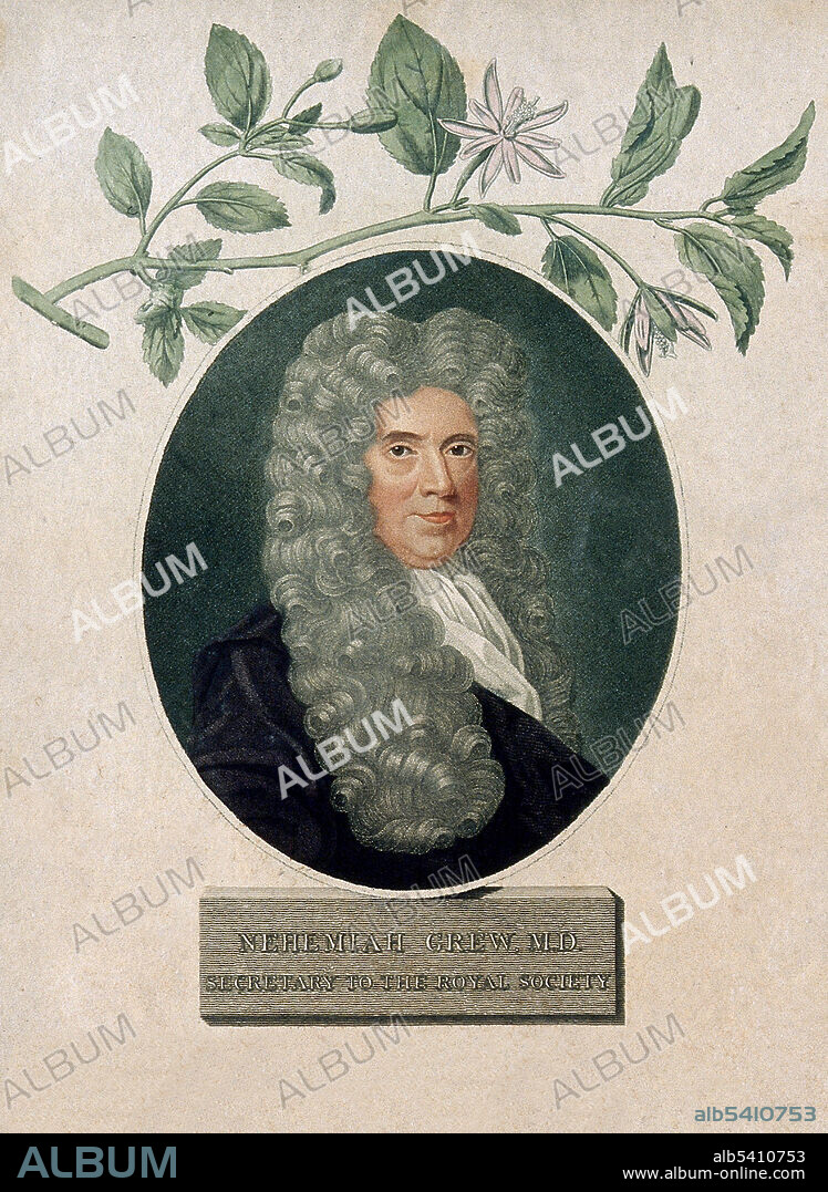 Nehemiah Grew (September 26, 1641 - March 25, 1712) was an English plant anatomist and physiologist, known as the Father of Plant Anatomy. In 1671 he took the degree of M.D. at Leiden University. In 1672, he settled in London, and soon acquired an extensive practice as a physician. In 1682 he published Anatomy of Plants, which also was largely a collection of previous publications. It was divided into four books, Anatomy of Vegetables begun, Anatomy of Roots, Anatomy of Trunks and Anatomy of Leaves, Flowers, Fruits and Seeds, and was illustrated with 82 plates, while appended to it were seven papers mostly of a chemical character. He described nearly all the key differences of morphology of stem and root, showed that the flowers of the Asteraceae are built of multiple units, and correctly hypothesized that stamens are male organs. Anatomy of Plants also contains the first known microscopic description of pollen. Much of Grew's pioneering work with the microscope was contemporary with that of Marcello Malpighi and the two reportedly borrowed freely from one another. He is also considered to be one of the pioneers of dactyloscopy. He was the first person to study and describe ridges, furrows, and pores on hand and foot surfaces. He died in 1712 at the age of 70.