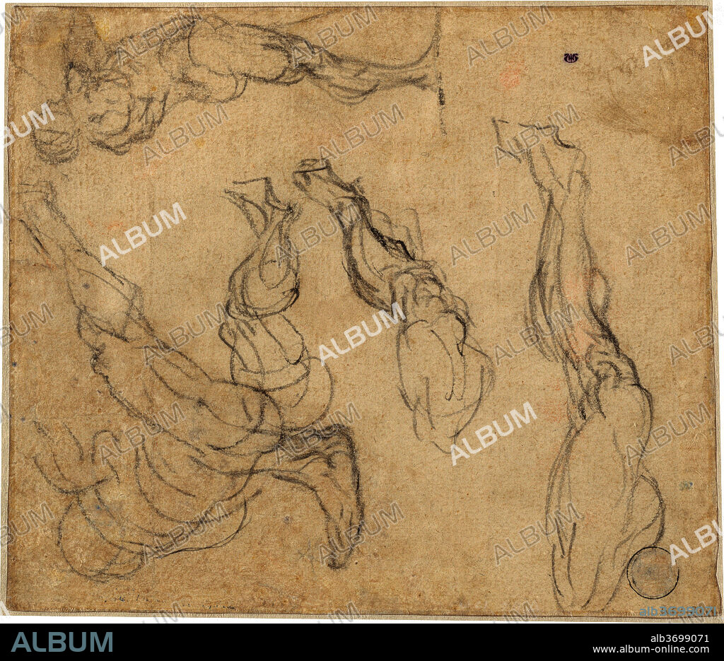 GIULIO CAMPAGNOLA. Head of a Boy (verso). Dated: c. 1513. Medium: pen and brown ink on laid paper.