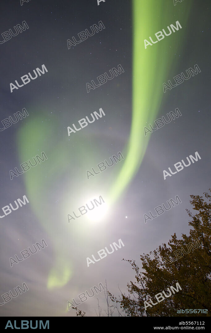 Aurora borealis with full moon and halo and Venus by Lake Laberge, Whitehorse, Yukon, Canada.