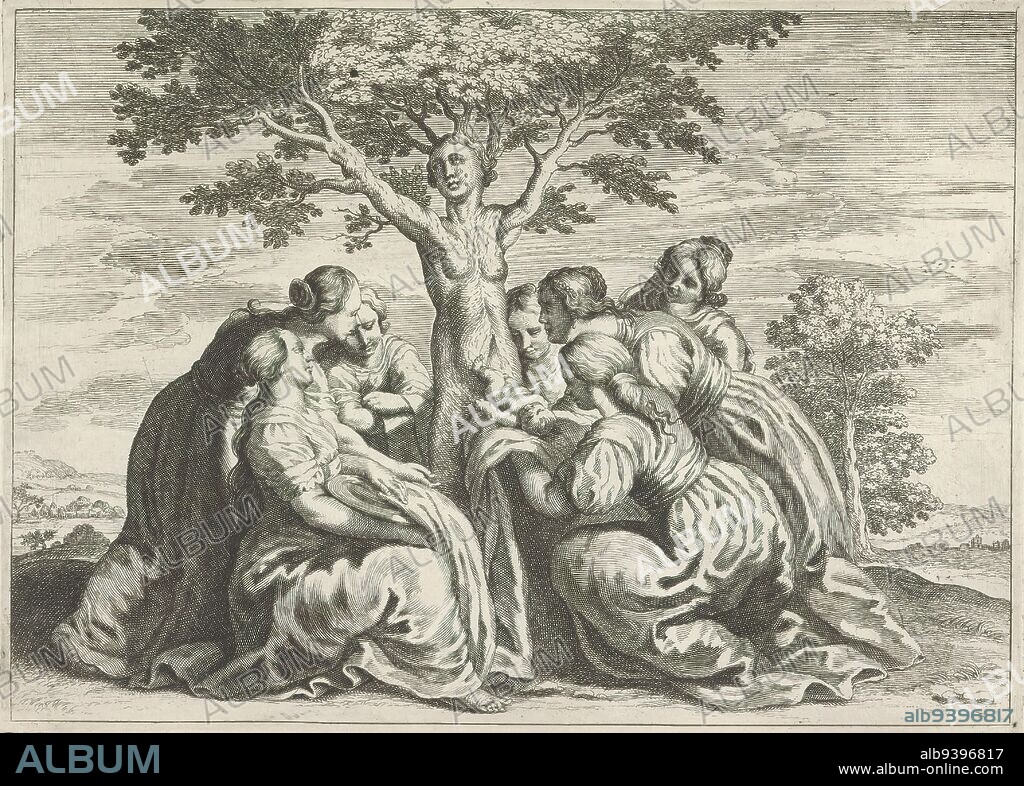 Birth of Adonis, Metamorphoses of Ovid (series title), Adonis is born of the split tribe of the weeping Myrrha. Nymphs capture him. Myrrha had been turned into a myrrh tree by the gods after she slept with her father through Venus' actions., print maker: Crispijn van de Passe (II), (workshop of), after design by: Abraham van Diepenbeeck, (possibly), publisher: Crispijn van de Passe (II), (attributed to), c. 1636 - 1670, paper, engraving, height 162 mm × width 225 mm.
