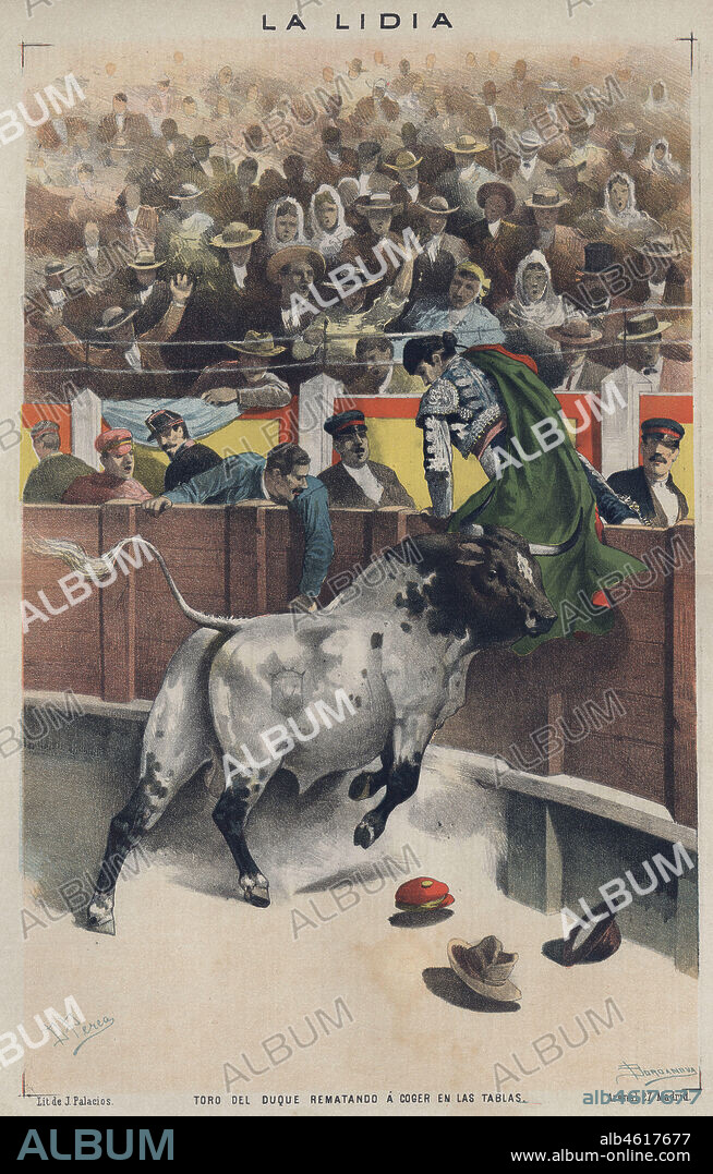 DANIEL PEREA Y ROJAS. La lidia. Toro del duque rematando a coger en las tablas. Año 1886.