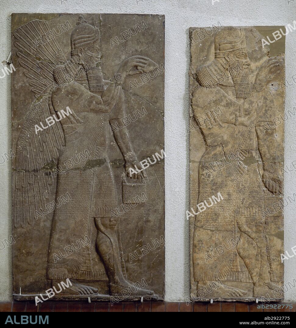 Chaldean Assyrian relief sculpture slab from the northwest palace of King Ashurnasirpal II of a Genie standing. 881-859 BC. from Nimrud. Istanbul Archaeological Museum. Turkey.