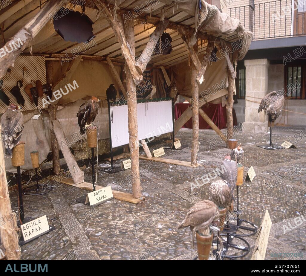 FERIA MEDIEVAL - PUESTO DE CETRERIA - HALCONES.