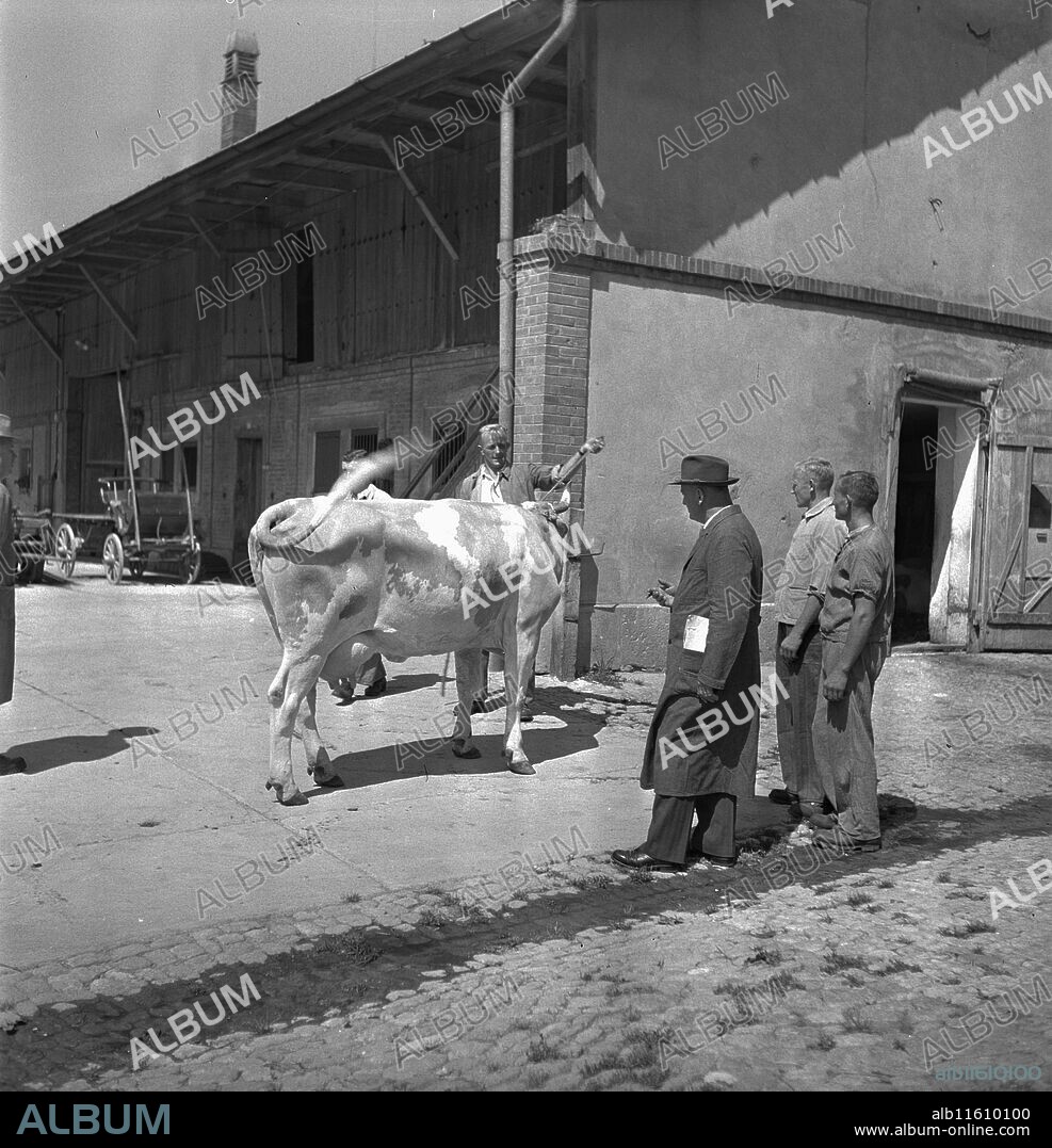 Examination of farmers at Wallierhof, Riedholz 1945.