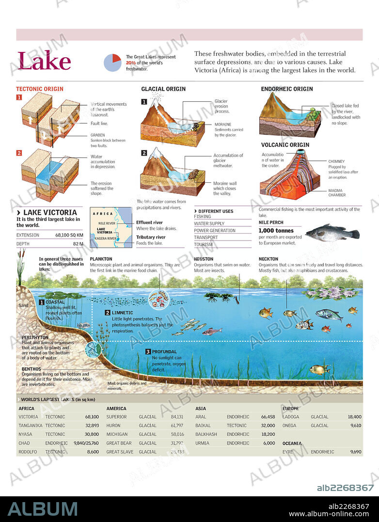 LAGO. Infografía del las zonas y el ecosistema del lago Victoria y de la formación de los distintos tipos de lagos.