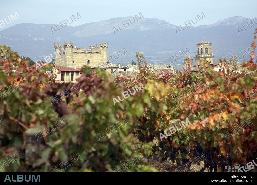 Sajazarra; vista de castilllo e Iglesia desde viñedos.
