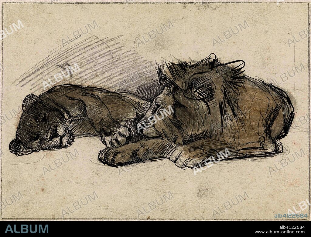 Lying lion and lioness. Draughtsman: Jan van Essen. Dating: 1864 - 1936. Measurements: h 145 mm × w 205 mm.