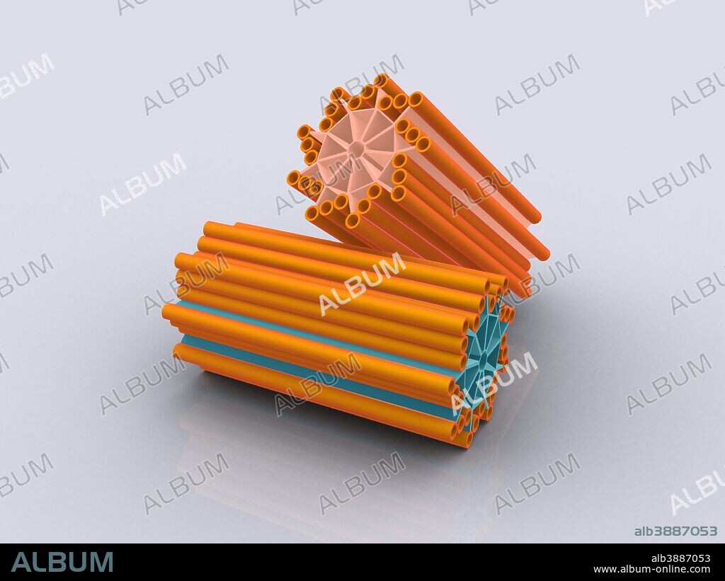 Conceptual image of centrioles.