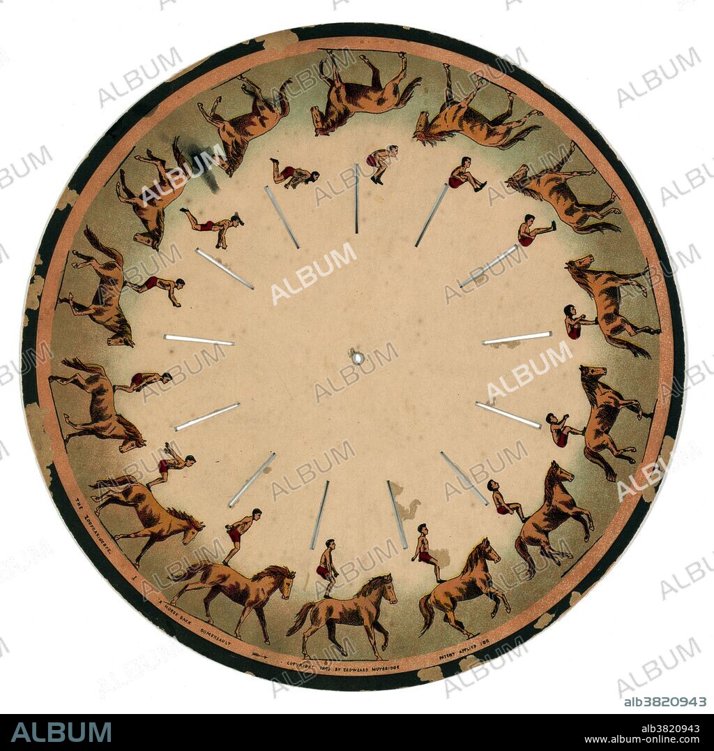 Muybridge Zoopraxiscope, Horseback Somersault, 1893. The zoopraxiscope is an early device for displaying motion pictures. Created by photographic pioneer Eadweard Muybridge in 1879, it may be considered the first movie projector. The zoopraxiscope projected images from rotating glass disks in rapid succession to give the impression of motion. The stop-motion images were initially painted onto the glass, as silhouettes. A second series of discs, made in 1892-94, used outline drawings printed onto the discs photographically, then colored by hand. Some of the animated images are very complex, featuring multiple combinations of sequences of animal and human movement. The device appears to have been one of the primary inspirations for Thomas Edison and William Kennedy Dickson's Kinetoscope, the first commercial film exhibition system.