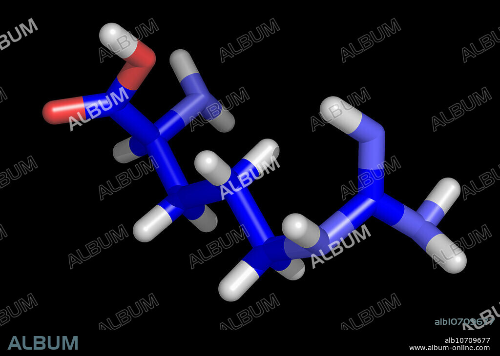 L-Arginine is an amino acid with the symbol Arg or R, the molecular formula C6H14N4O2, molecular weight 174.20, isoelectric point (pH) 11.15, pKa values 2.18, 9.09, 13.2 (guanidine), CAS Registry Number 74-79-3.