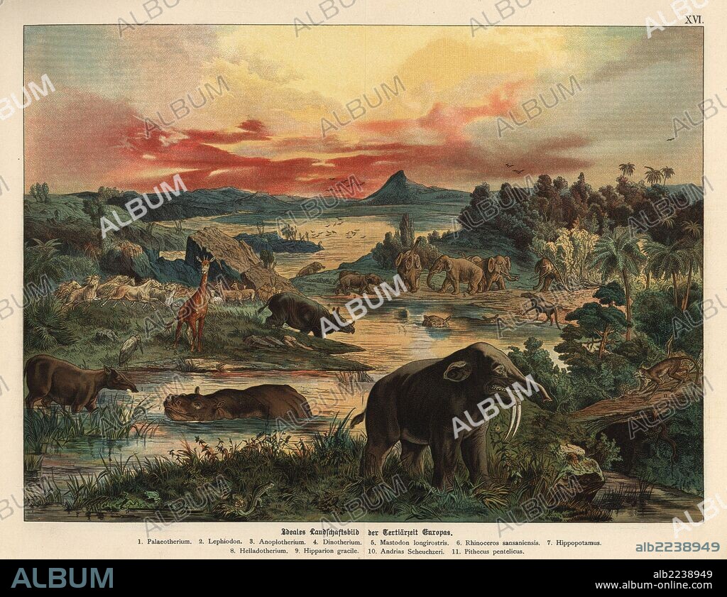 Restoration of a landscape in Tertiary era Europe. Palaeotherium, Lophiodon, Anoplotherium, Deinotherium, Tetralophodon longirostris (Mastodon longirostris), Rhioceros sansaniensis, Hippopotamus, giraffe Helladotherium, horse Hipparion gracile, giant salamander Megalobatrachus (Andrias scheuchzeri), and primate Pithecus pentelicus. Chromolithograph from Dr. Fr. Rolle's "Geology and Paleontology" section in Gotthilf Heinrich von Schubert's "Naturgeschichte," Schreiber, Munich, 1886.