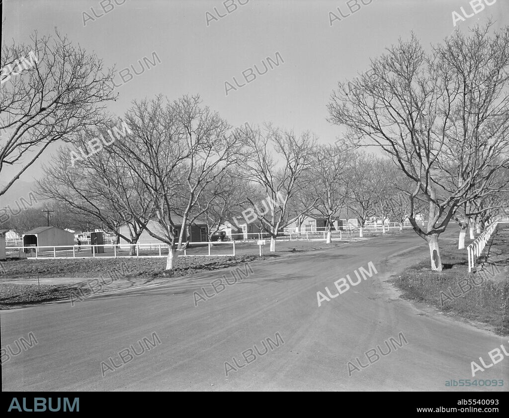 DOROTHEA LANGE. El Monte federal subsistence homesteads. One hundred occupied homes, each with three quarters of an acre. Average yearly income eight hundred dollars. California.