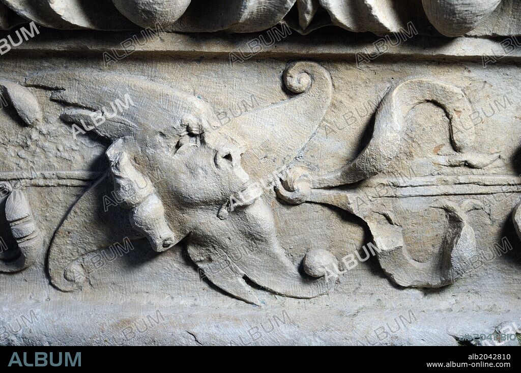 "Grutesco" Elemento fantastico en Altorelieve. Renacentista ( Plateresco) Perteneciente a la zanca de la balaustrada " Escalera de Honor de Covarrubias - Patio de Fonseca . PALACIO ARZOBISPAL " ANTIQUARIUM - Muralla de ALCALA DE HENARES ( Siglo XIII ).Comunidad de Madrid . ESPAÑA.