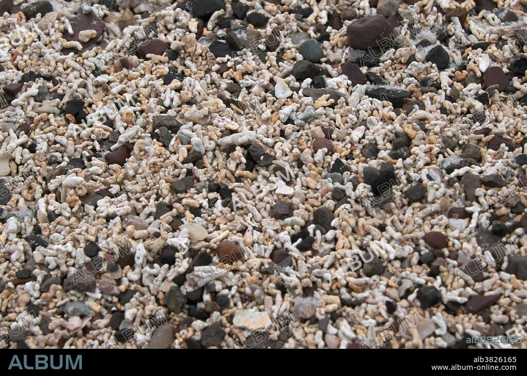 Calcareous Beach Sand
