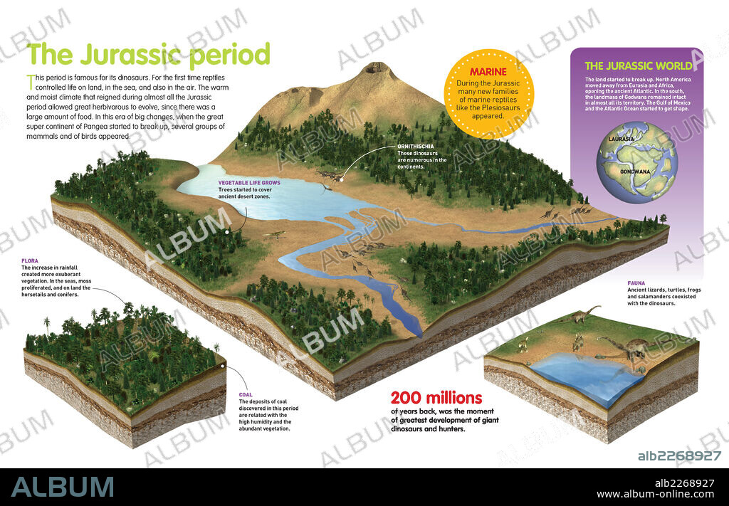 El período Jurásico. Infografía sobre el período Jurásico (200 millones de años), su relieve, fauna y flora características.