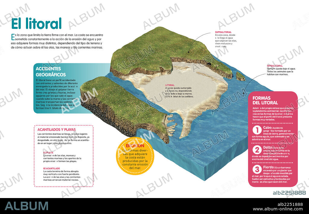 El litoral. Infografía sobre la formación de diferentes accidentes geográficos que forman la costa de los continentes: acantilado, playa, cabo, delta y fiordo.