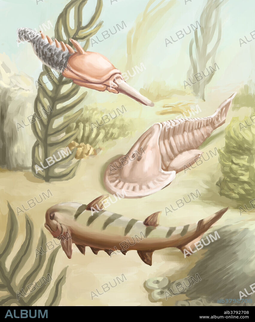 Prehistoric marine life. Ostracoderms ( shell-skinned ) were the armored jawless fishes such as pteraspis. The Placoderms (plate-skinned), climatius and hemicyclaspis were among the first armored jawed fish.