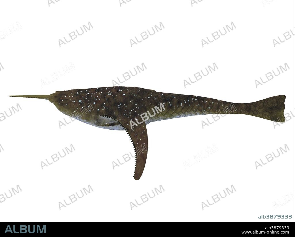 Doryaspis is an extinct primitive jawless fish that fed on plankton in the Devonian Period of Norway.