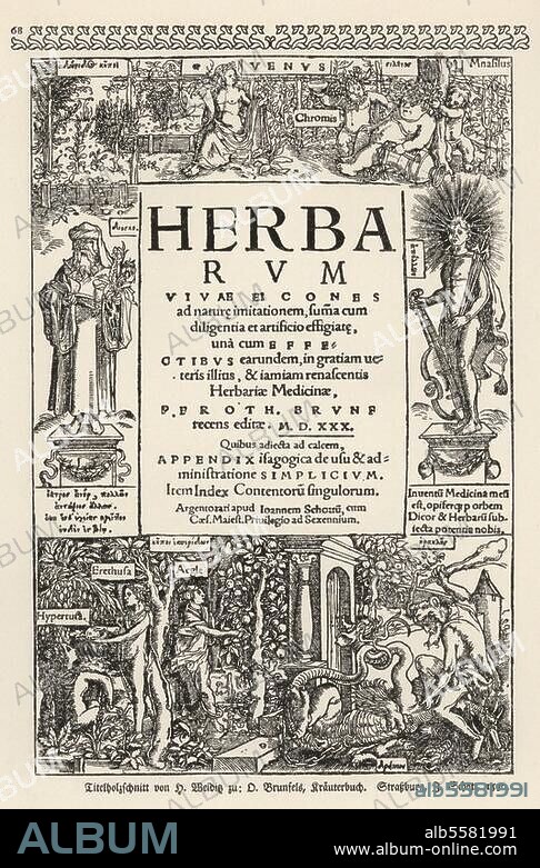 Brunfels, Otto Botaniker, 1488-1534. Werke: "Herbarum vivae icones" (Kräuterbuch), Straßburg 1530. Titelblatt mit Dioskurides, Apollo, Hesperiden, Herkules. Holzschnitt von Hans Weiditz.