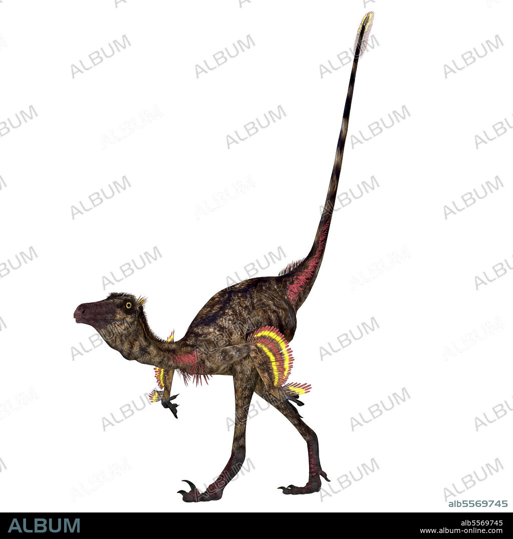 Troodon dinosaur walking. Troodon was a carnivorous theropod dinosaur that lived in North America during the Cretaceous Period.