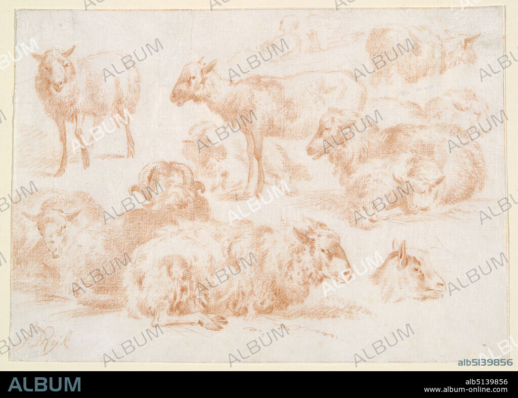 Artist: Jan (Jole) Ryks (Rijk), Dutch, Studies of Sheep, Sanguine crayon (counterproof of drawing), sheet: 10.8 × 15.88 cm (4 1/4 × 6 1/4 in.), Made in The Netherlands, Dutch, 19th century, Works on Paper - Drawings and Watercolors.