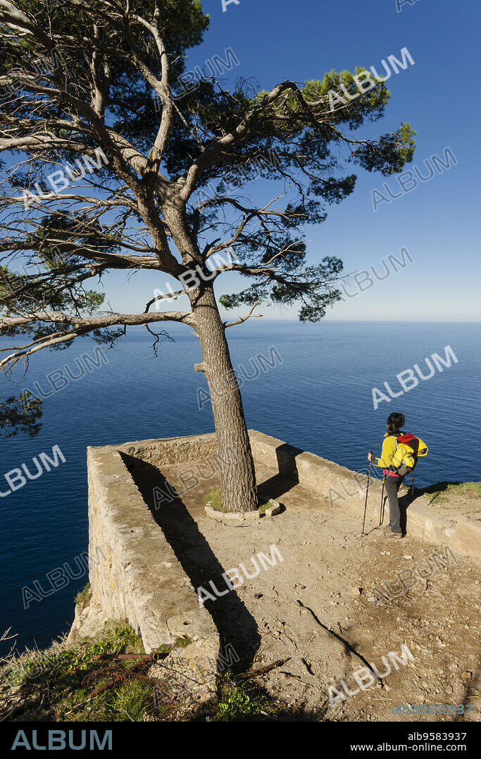 mirador Des Pí-mirador Des Niu des Corb, Valldemossa, sierra de Tramuntana,mallorca, islas baleares, españa, europa.