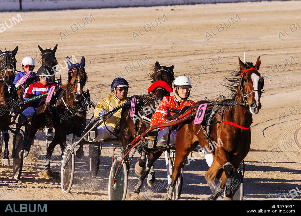 gran premio de hipica, hipodromo de Son Pardo, Palma,mallorca, islas baleares, Spain, europa.