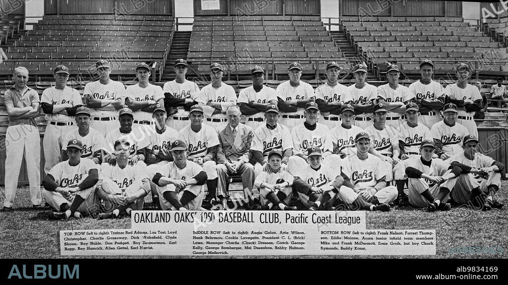 Oakland, California 1950 The Pacific Coast League team portrait of the 1950 Oakland Oaks Baseball Club.