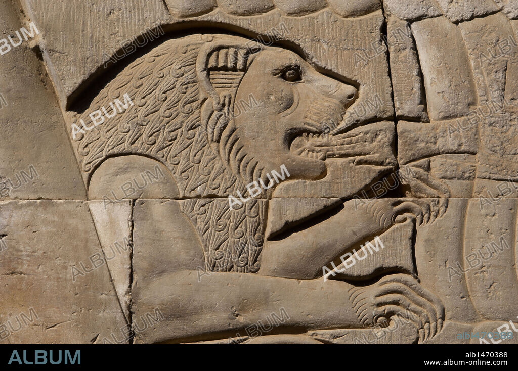 ARTE EGIPCIO. EGIPTO. KOM OMBO. Vista del TEMPLO DE SOBEK Y HAROERIS, de época ptolemaica o Láguida. Se inició su construcción en el siglo II a. C. Detalle de un relieve con la representación de un LEON comiendo una mano. Muro lateral. Egipto. Norte de Africa.