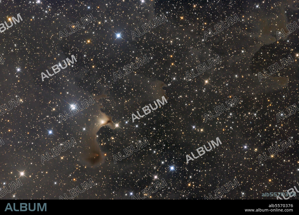 This faint reflection nebula is located in the constellation Cepheus in the vicinity of the Iris Nebula. Illuminating the nebula is a new star still in the formation process identified as BD+67 1300 and is of type FU Orionis which is quite rare and exhibits vey unusual brightening and dimming behavior.