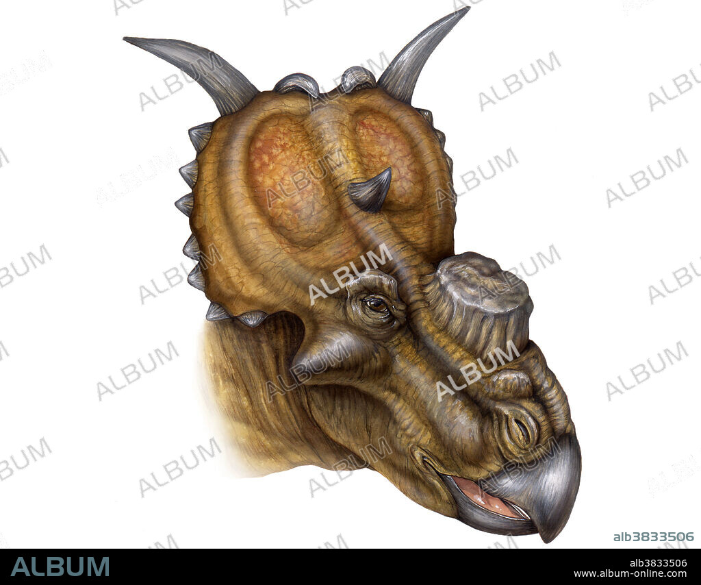 Pachyrhinosaurus
