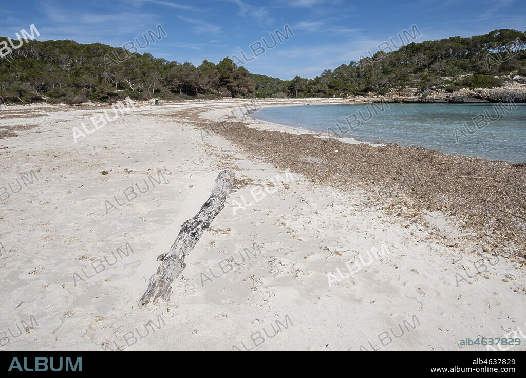 S'Amarador, Mondragó Natural Park, Santanyí municipal area, Mallorca, Balearic Islands, Spain.