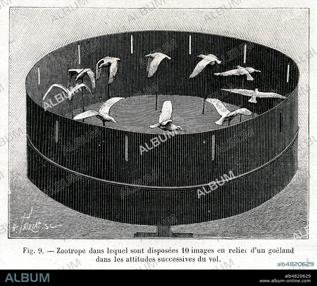 'Zootrope dans lequel sont disposees 10 images en relief d'un goeland dans les attitudes successives du vol'. Illustration tiree de la revue La Nature du 3 decembre 1887. Credit : Collection KHARBINE-TAPABOR.