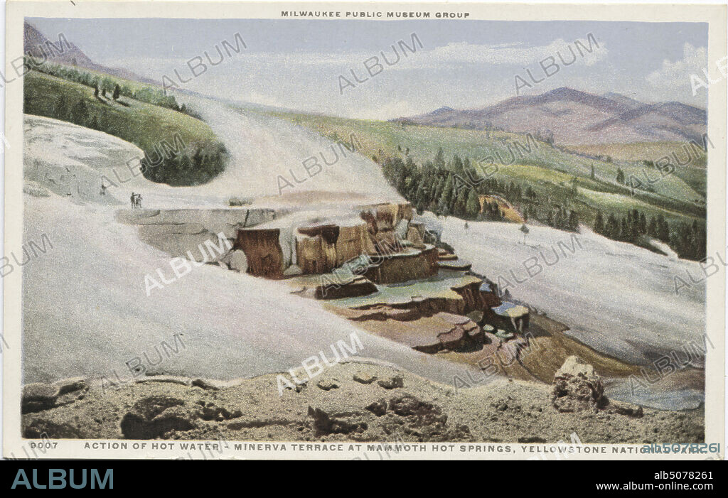 Action of Hot Water -Minerva Terrace at Mammoth Hot Springs, Yellowstone National Park, Milwaukee Public Museum Group, still image, Postcards, 1898 - 1931.