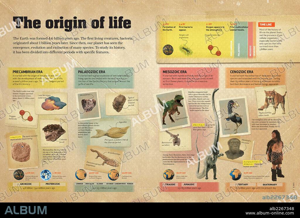 El inicio de la vida. Infografía sobre las diferentes etapas geológicas que dieron lugar a la aparición y evolución de vida en la Tierra.