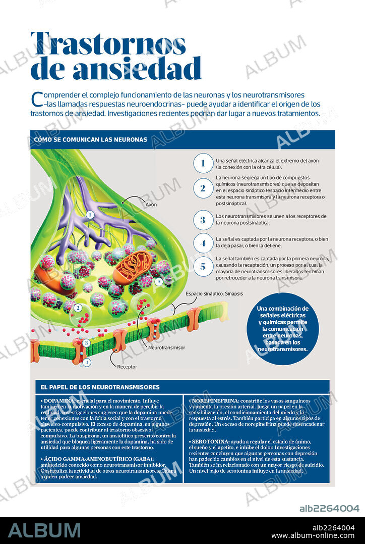 Trastornos de ansiedad. Infografía que muestra cómo se produce la comunicación entre neuronas y sobre cómo es posible identificar el origen de los trastornos de ansiedad a partir de dicha comunicación.
