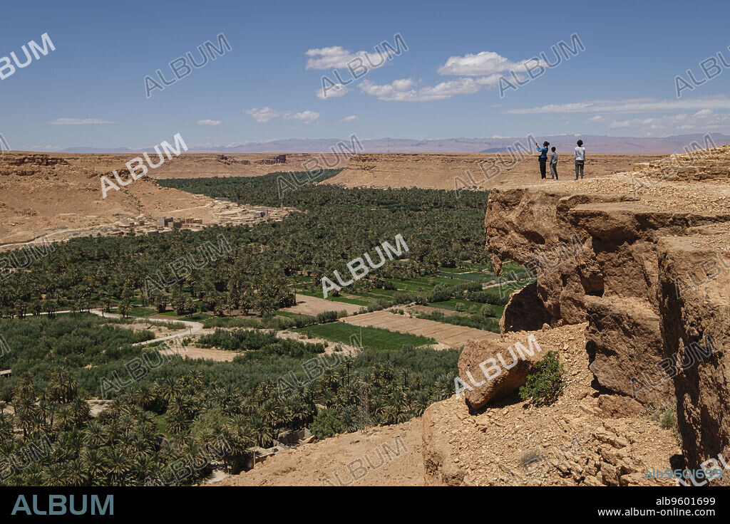 palmeral de Tafilalet, valle del río Ziz, Marruecos, Africa.