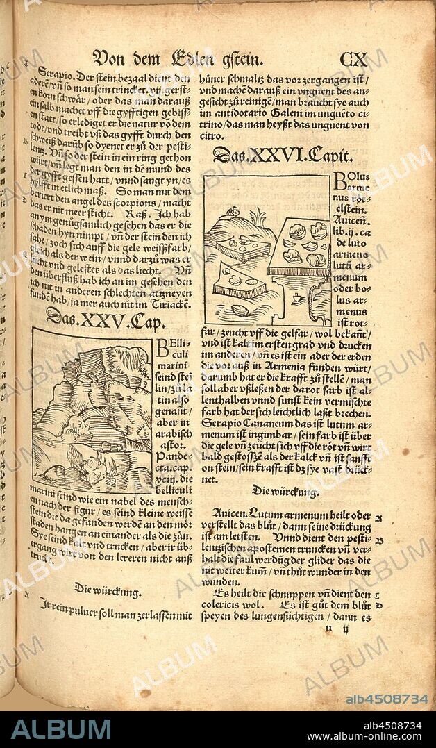 Belliculi sea lions, pomegranates Bolus armenus, Medicinal stones, Fig. 202, Fol. CXr, Apiarius, Mathias (imp.), 1536, [Hortus sanitatis oder Garth der Gesundtheyt: von den vier Geschlechten als Thier, Vögel, Vischen und edlem Gesteyn]. [Gedruckt und volendet zu Strassburg]: [durch Mathiam Apiarium], [1536].