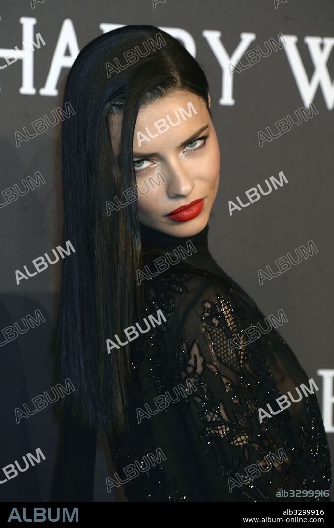 February 8, 2017 - New York, New York, USA - Adriana Lima bei der 19. amfAR New York Gala 2017 im Cipriani Wall Street. New York, 08.02.2017. 08/02/2017