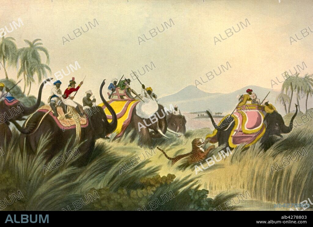 'The Tiger Hunt', c1808, (1901). The British hunting tigers by elephant in India during the 19th century. From "Oriental Field Sports" by Thomas Williamson, [1808]. Published in "The Life and Deeds of Earl Roberts, Vol. II. - To The Abdication of Yakub Khan", by J. Maclaren Cobban. [T. C. & E. C. Jack, Edinburgh, 1901].
