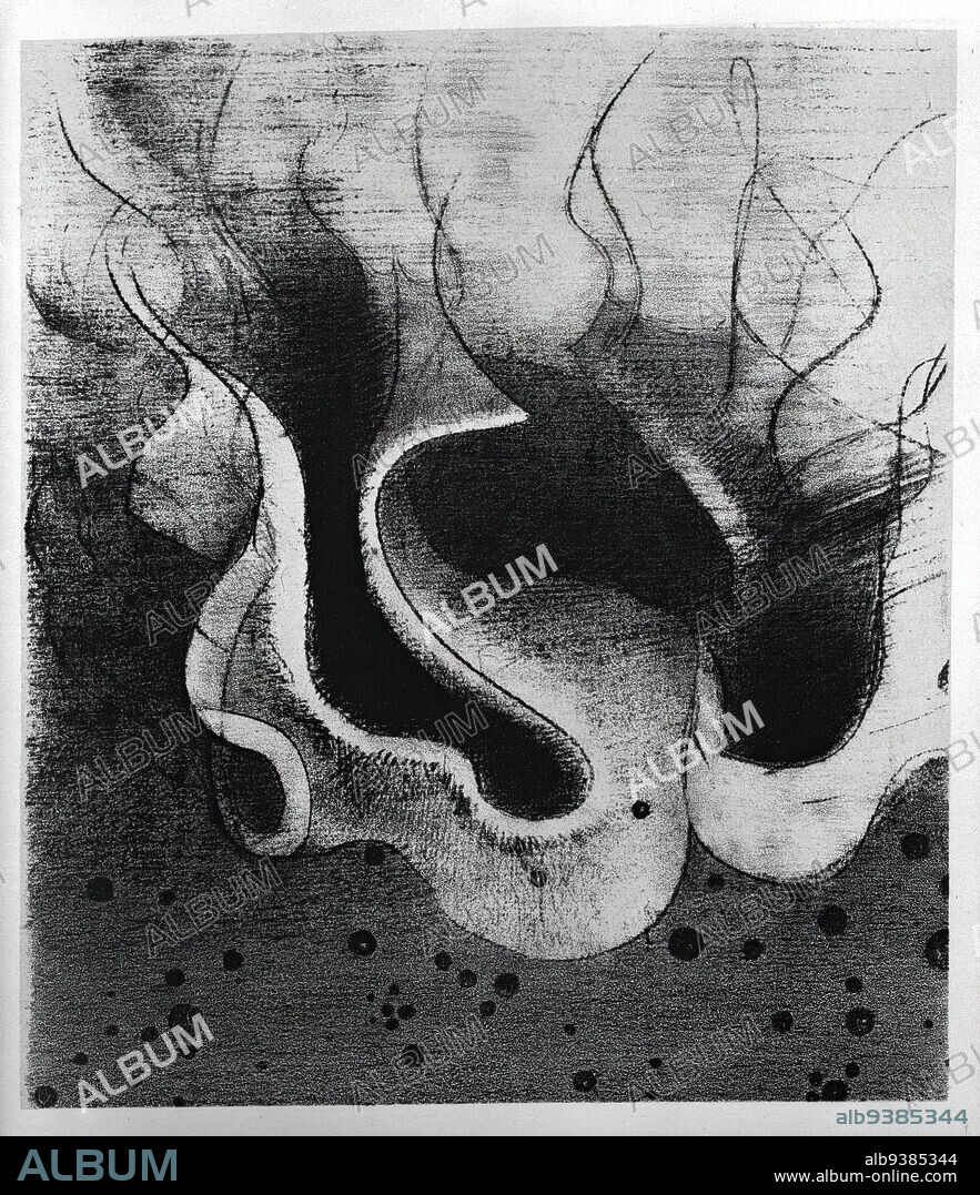 Les Betes de la Mer Ronde Comme Des Outres, Plate XXII from Tentation de Saint-Antoine, Troisieme Series, Lithograph on chine colle paper, 1896, 8 9/16 x 7 1/2 in., 21.7 x 19 cm.