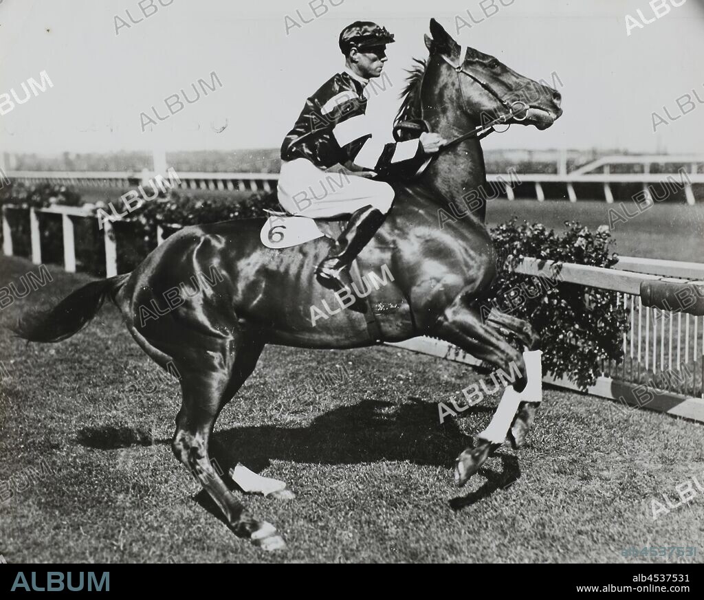Photograph - Jim Pike Riding Phar Lap at Derby Day, Flemington Racecourse, Victoria, 1930, Jockey Jim Pike is pictured riding Phar Lap during the Melbourne Cup Carnival. Flemington race track is shown in the background. Pike wears a silk top that has white stripes on the arms. He wears a dark helmet and white jodpurs. Phar Lap's white saddle cloth bears the number 6, which is the number he wore during the Melbourne Stakes, the main race on Derby Day (the first Saturday of the carnival.).