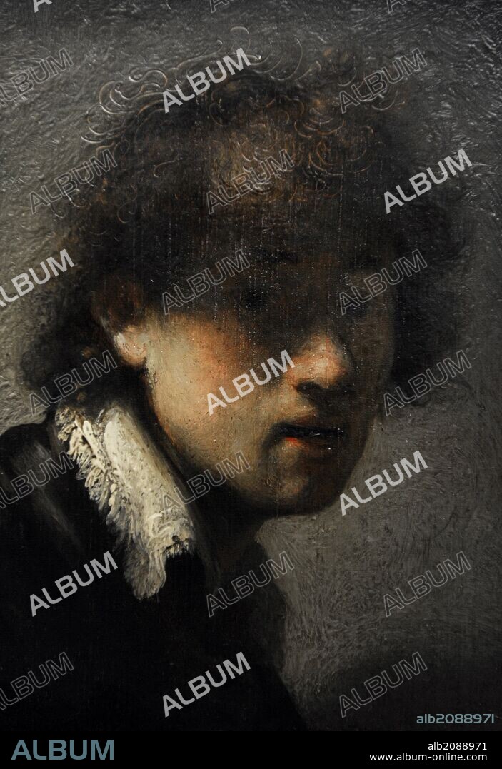 Rembrandt Harmenszoon van Rijn (1606-1669). Dutch painter. Self-portrait, 1628-1629. Alte Pinakothek. Munich. Germany.