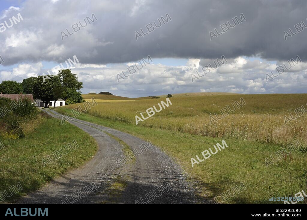 SUECIA. Paisaje de campos en Oxie, en las afueras de la ciudad de Malmo.