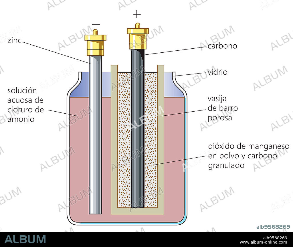 Georges Leclanche's dry cell and its later variations, zinc chloride and alkaline cells, are batteries commonly used worldwide.