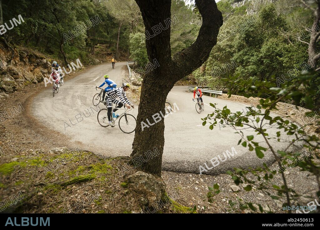ciclistas ascendiendo el Coll D´Honor, carretera Bunyola-Orient, sierra de Tramuntana, mallorca, islas baleares, españa, europa.