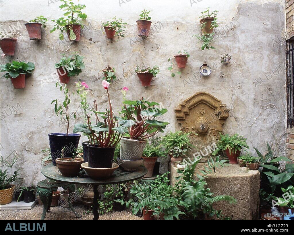 Patio con plantas de la casa n. 5 de la Calle Pedro Jiménez, de Córdoba. Córdoba, España.