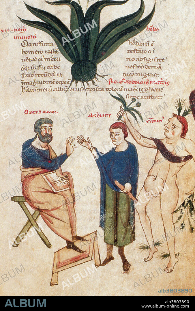 ""De Medicina"", 1st Century Medical Treatise