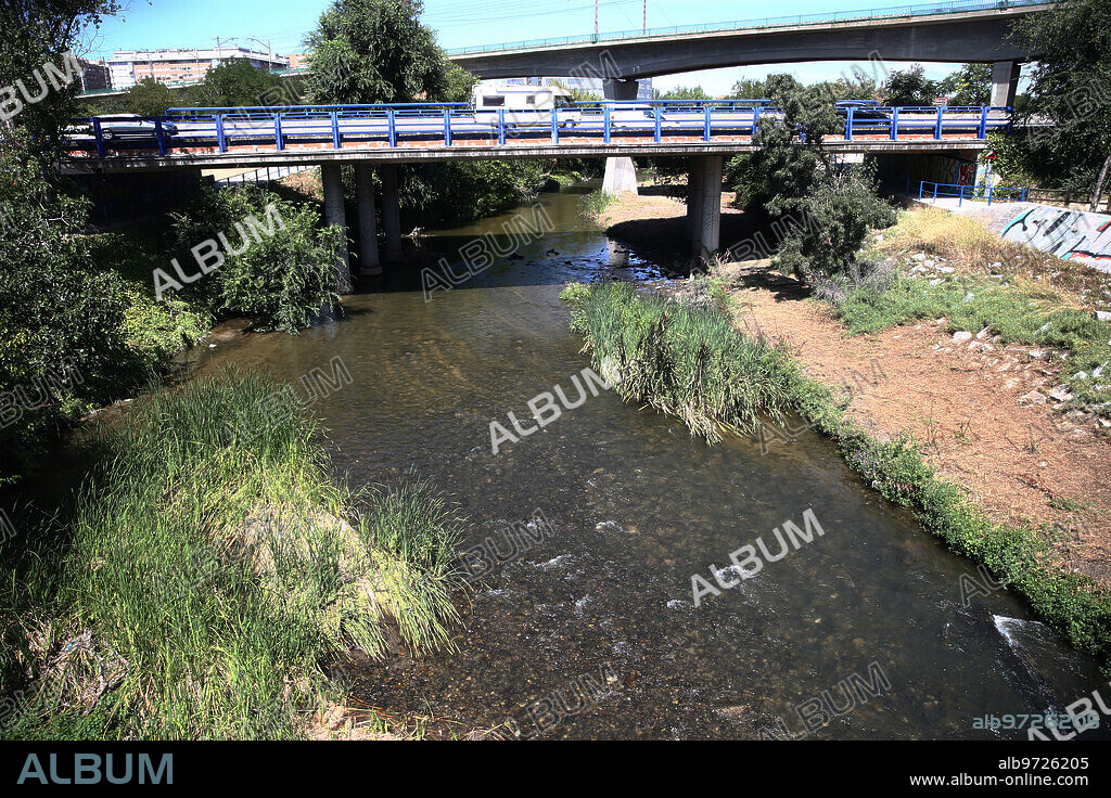Madrid, 02/08/2021. Paseo fluvial del río Manzanares a la altura de Butarque (Villaverde Bajo), donde desde hace tiempo se producen picaduras por parte de la mosca negra. Foto: Jaime García. ARCHDC.