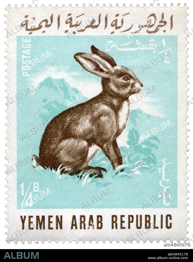 STAMPS The Rabbit. Postage stamp of a series issued by Yemeni Post Office representing domestic animals. Face value 1/4 B. Arab Republic of Yemen, 1966.